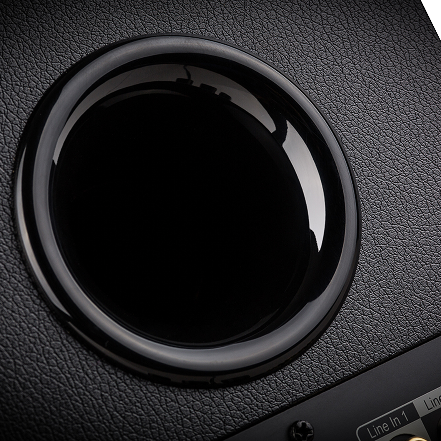 R2000DB Haut-parleurs polyvalents équipés pour un son authentique