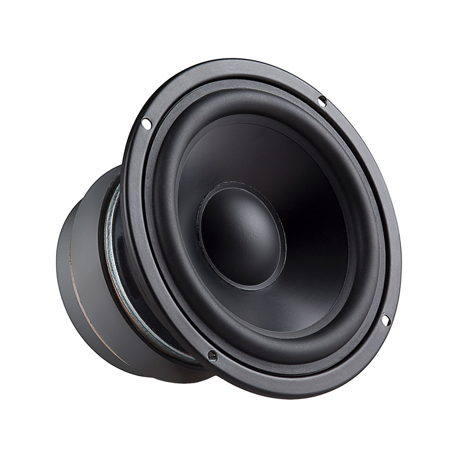 R2000DB Haut-parleurs polyvalents équipés pour un son authentique