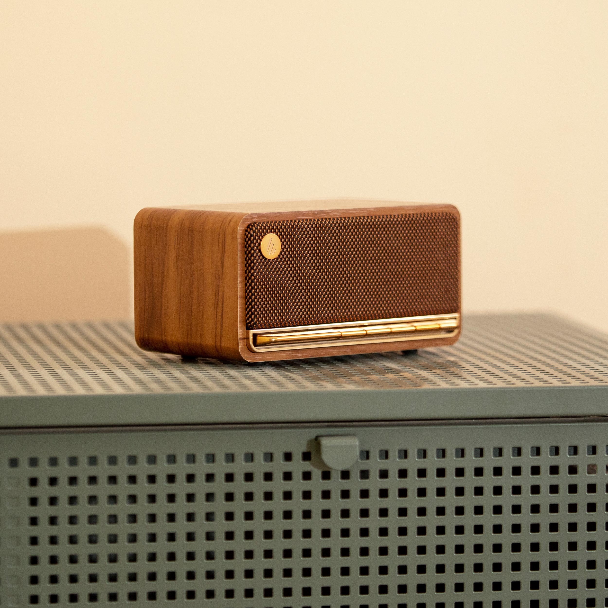 Haut-parleur Bluetooth portatif MP230
