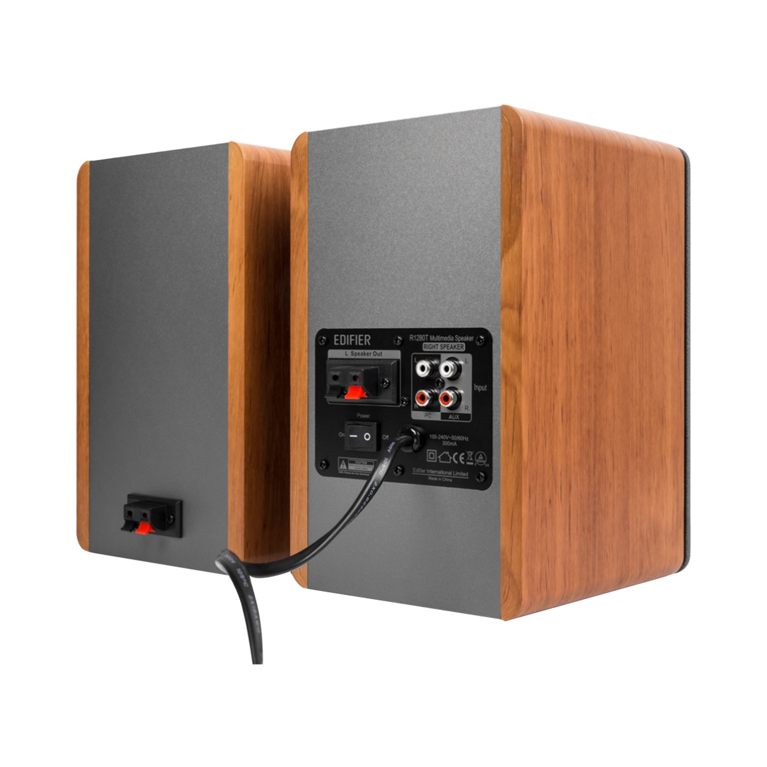 Enceintes bibliothèque amplifiées R1280T avec WiiM Mini