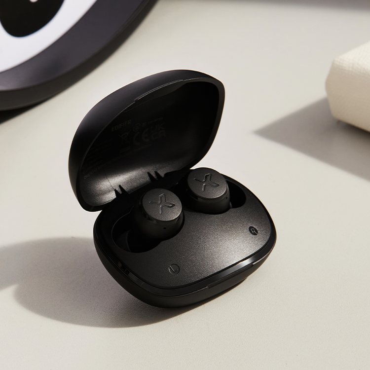 X3s True Wireless Stereo Earbuds